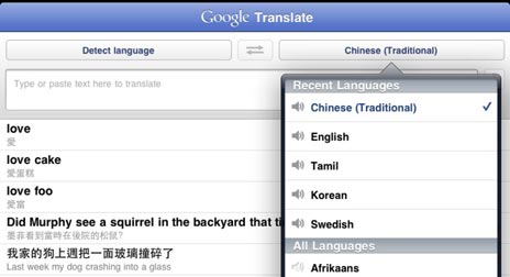 Google Übersetzer iPad