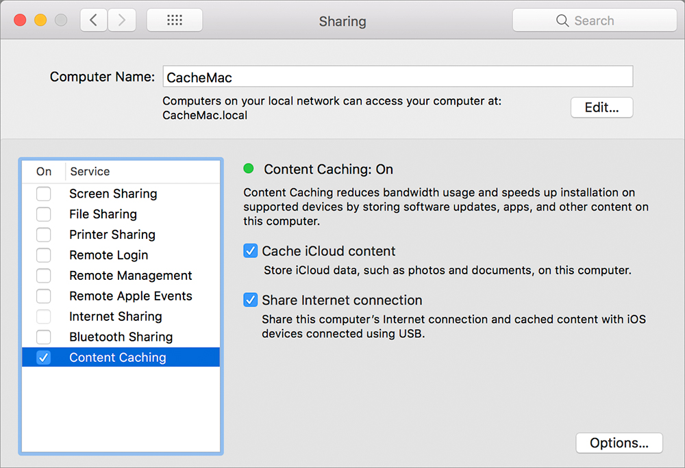 Очистить кэш mac. Share для компьютера. Observer на Mac. Remote Manager айфон. High Sierra ICLOUD.