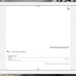 Google Assistant Ipad App