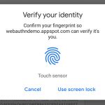 Google Chrome Fingerabdruck Scanner