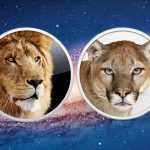 Lion Mountain Lion Feature