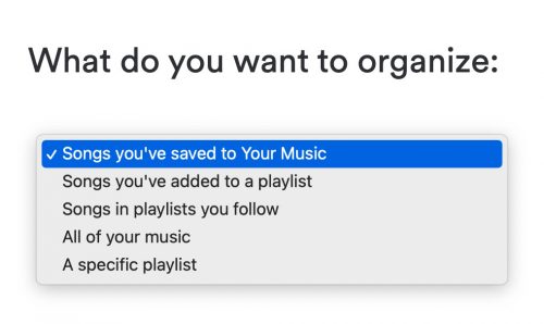 What To Organize