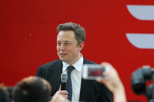Elon Musk Dp