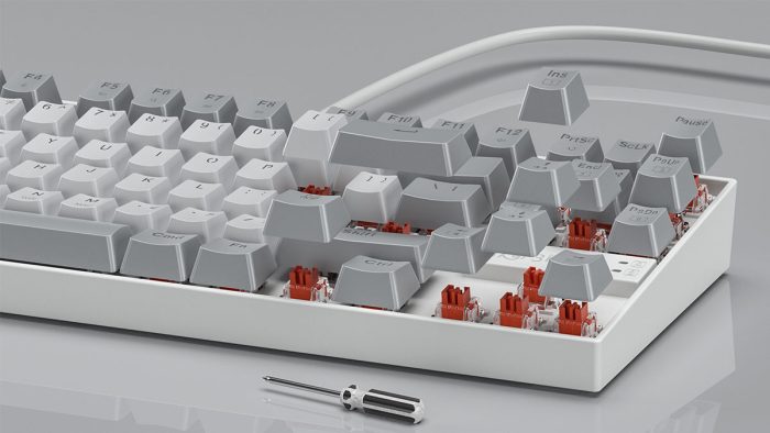 Tastatur Switches
