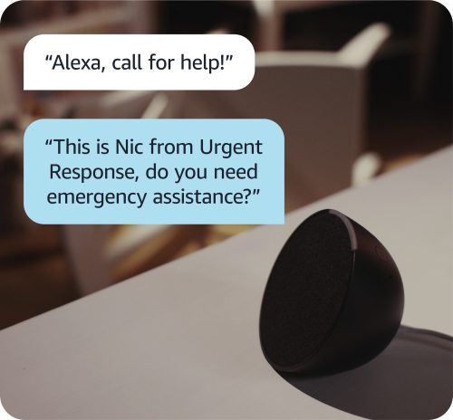 Alexa Emergency Assist 2000