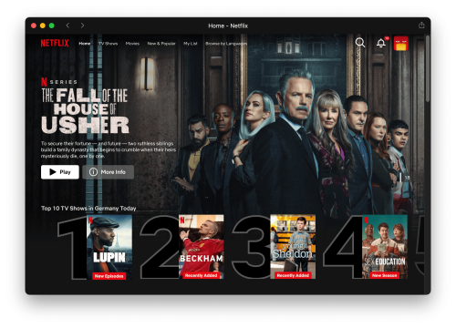 Netflix Web App Screen