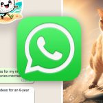 Whatsapp Mac Feature