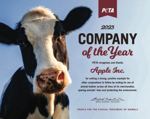 Company Of The Year Apple Inc 2000