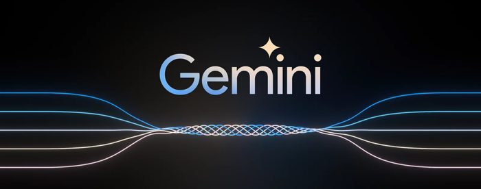 Gemini Feature