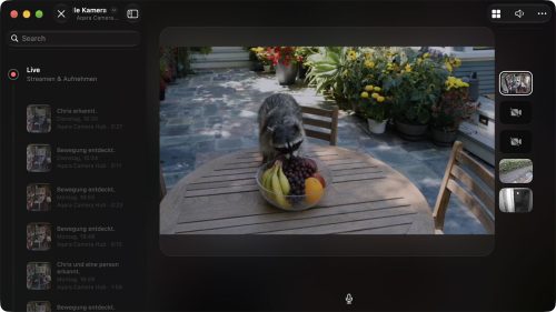 Apple Home Video