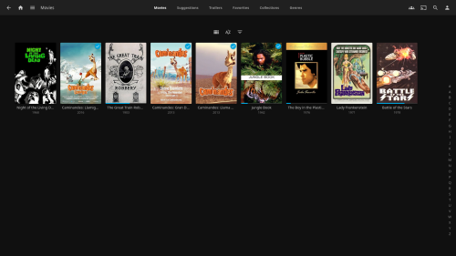 Jellyfin 12 Library
