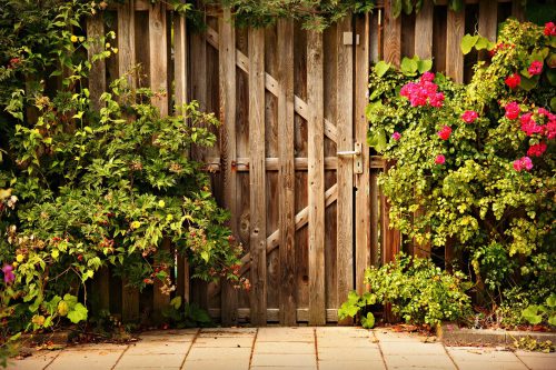 Shelly Doorwindow Outdoor Gartentor